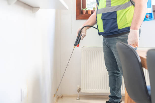 Wasp Removal Services in Paincourtville, LA