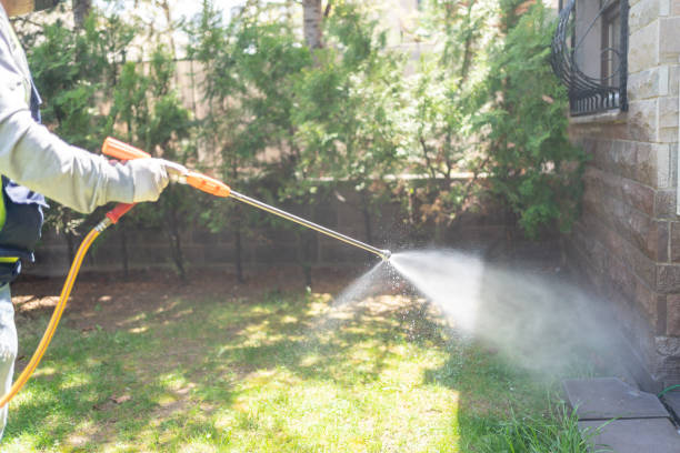 Best Affordable Pest Control Services  in Paincourtville, LA