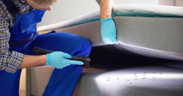 Best Emergency Pest Control  in Paincourtville, LA