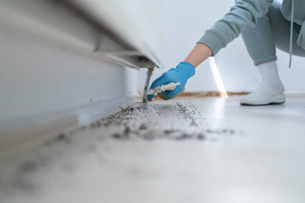 Best Best Pest Control Companies  in Paincourtville, LA